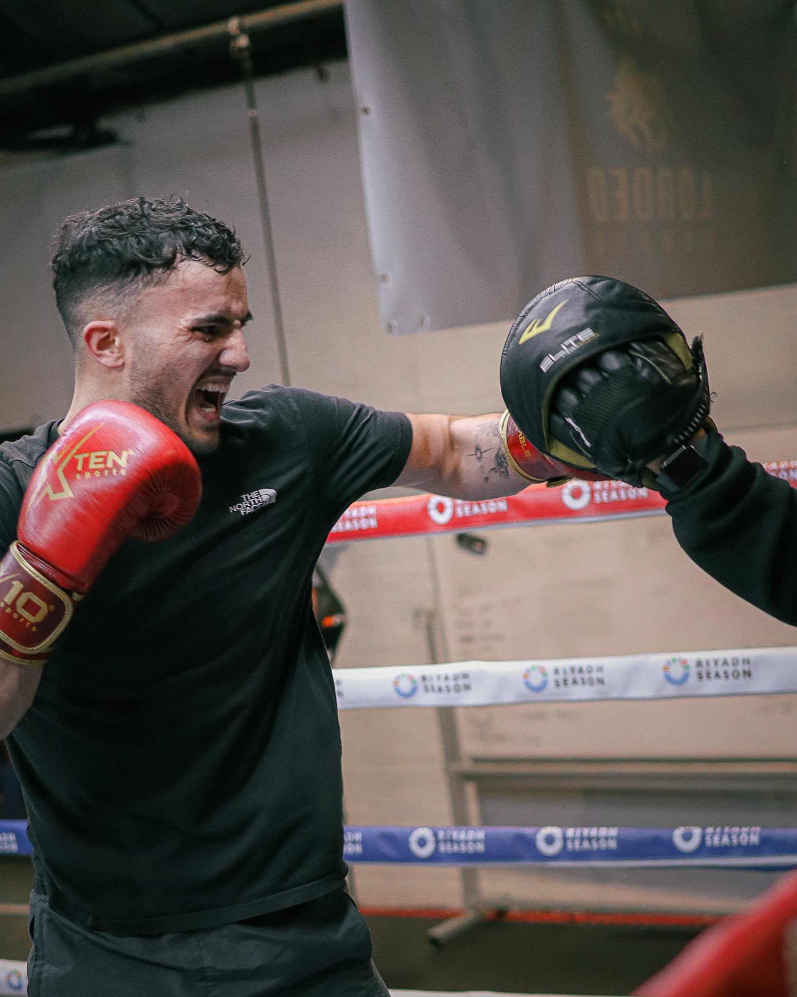 Boxer with mitts
